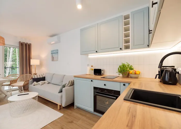 Apartament Sofii Baltic *